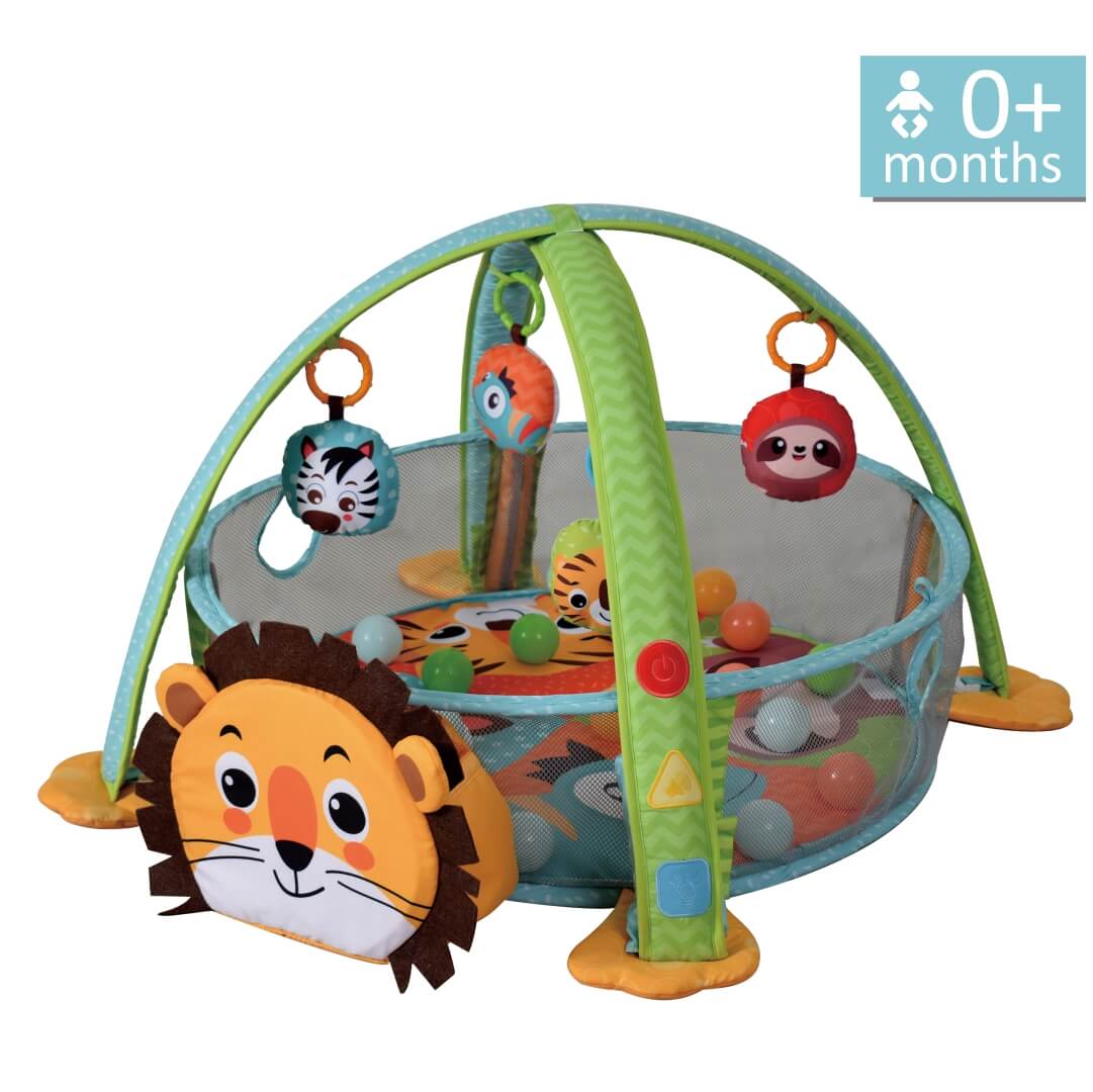 GYM-ACTIVITY PARK LION